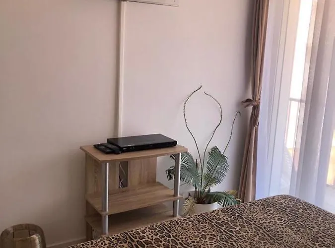 Gran Partamiento En Apartament *